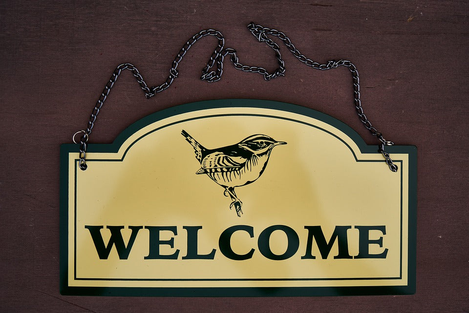 Welcome To The Starlight Gadget Blog!!!